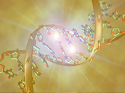 Солярий - провокация рака